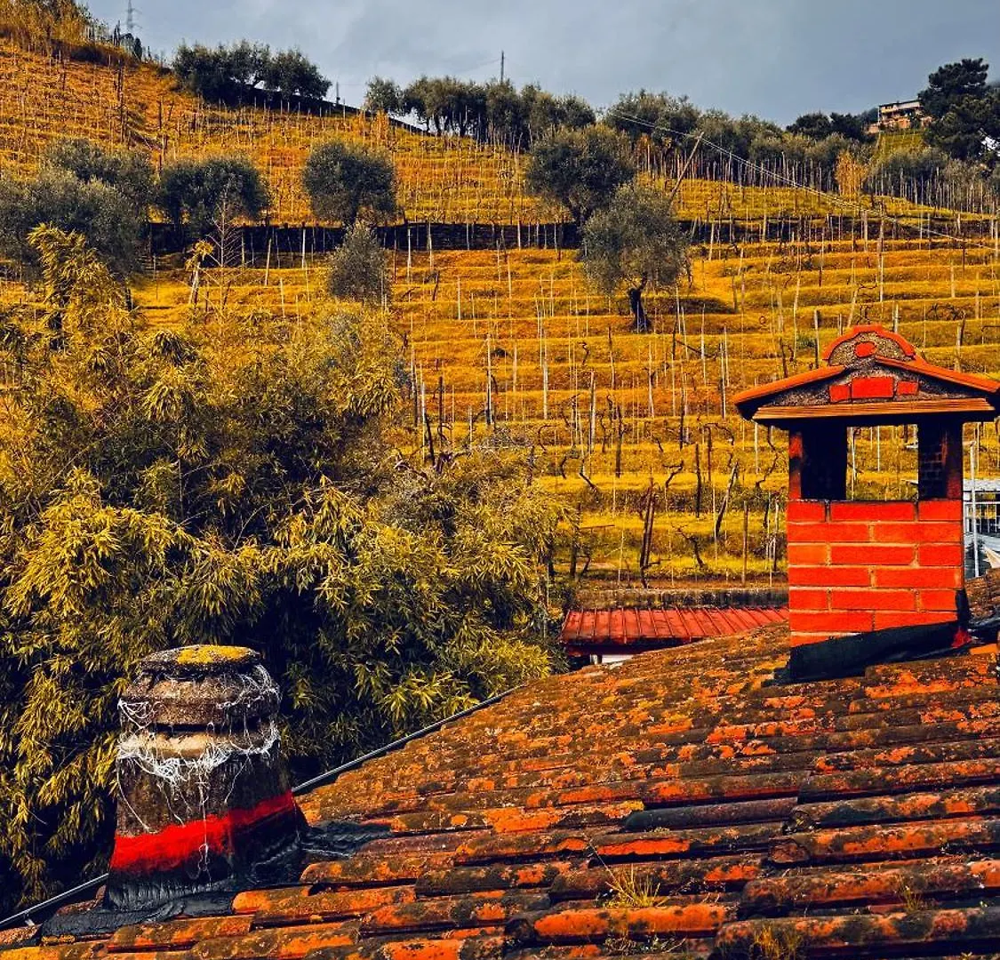 Casa Odry Apartment Massa  0*, Massa (Tuscany) Italy